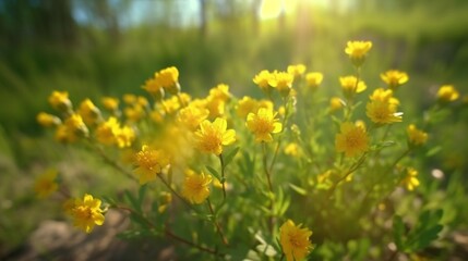 Cute fluffy little yellow wildflowers in nature on a m Generative Ai