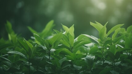 Natural background border with fresh juicy leaves with Generative Ai