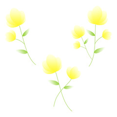 illustration set of a yellow flower
