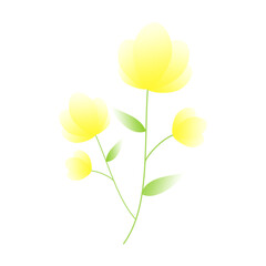 illustration of a yellow flower