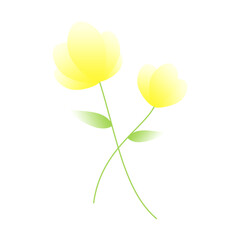 illustration of a yellow flower