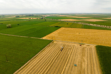tractors wheat harvest field, Konya, Turkey