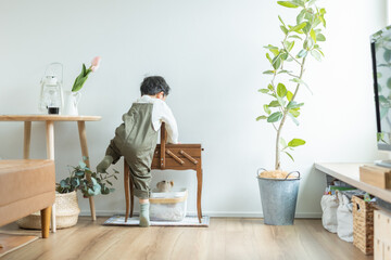 春の日中の観葉植物のあるリビングで家具に乗ろうとするサロペットを着た日本人の園児の後ろ姿 - obrazy, fototapety, plakaty