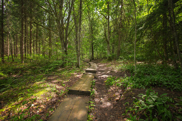 The wild romantic Paavola Nature Trail (Paavolan luontopolku), Lohja - Finland