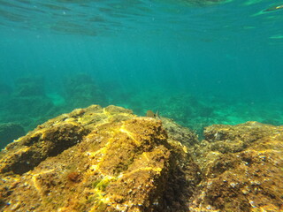 Calella de Palafrugell, Girona, Cataluña, España