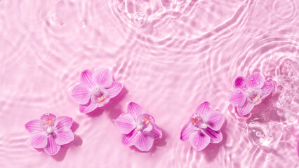 Orchid flowers are floating, stains from a drop on the water