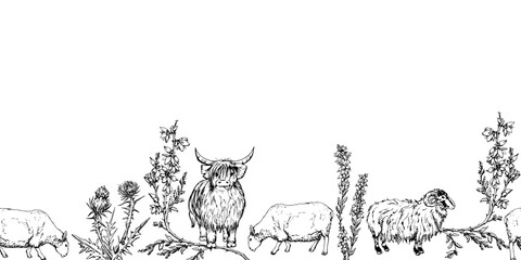 Ink hand drawn vector sketch. Seamless border. Scotland symbol objects. Animals, sheep, hairy coo highland cow, heather and thistle flowers. Design for tourism, travel, brochure, wedding, guide, print