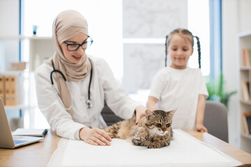 Female specialist and owner stroking cat during vet exam - Powered by Adobe
