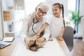 Animal doctor performing chest exam of cat with help of kid