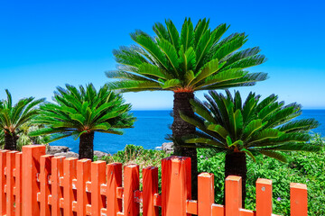 晴れ渡った鵜戸神宮参道（宮崎県日南市）