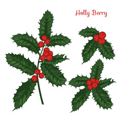 Christmas decorations. Holly Berry   set isolated on white backgrond. - 635030676