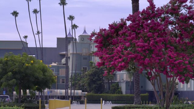 Santa Anita Park Clubhouse in Arcadia, California with stable video medium shot showing flowers.