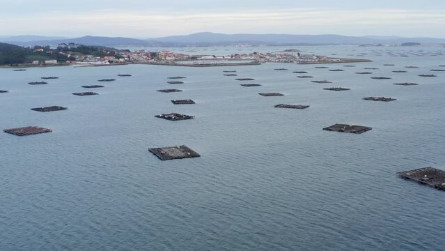 Coastal scenery, multitude of bateas in ria de Arousa. Galicia, Spain