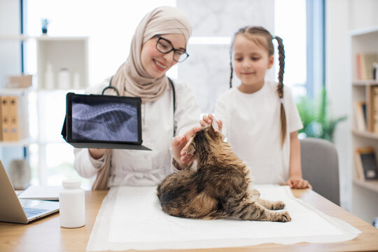 Muslim vet doctor showing tablet with CTs to pet owner