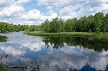 Fototapeta premium Lake in green nature with blue sky and white clouds
