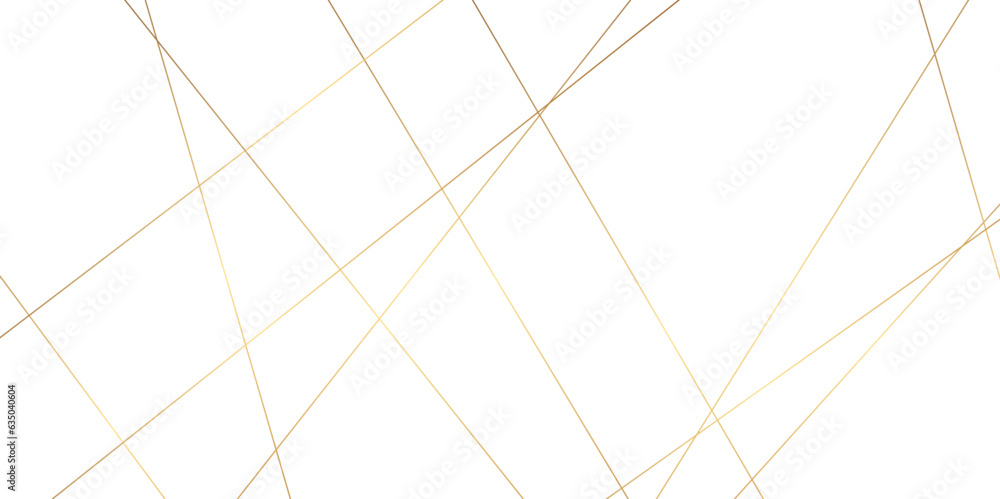 Poster abstract background with lines. abstract white and gold colors with lines pattern texture business b