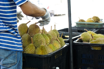 Durian fruit in basket at a fruit stall