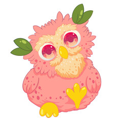 peach owl