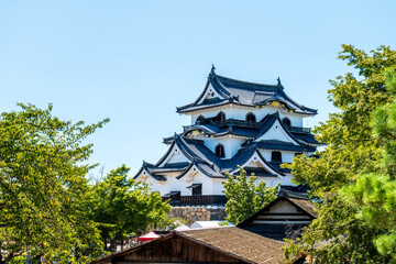 夏の彦根城天守閣　滋賀県彦根市