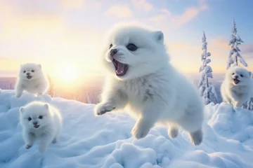 Deurstickers Poolvos The background is a winter snowscape, beautiful sky and clouds, and the cute white baby arctic fox bathed in the gentle sunshine jumping and playing is cute.
