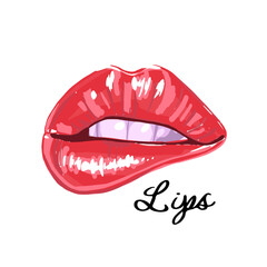 Hand drawn vector red lips