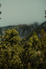 morning in the mountains