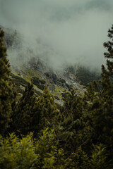 fog in the mountains