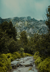 landscape in the mountains