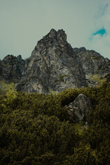 rocks in the mountains