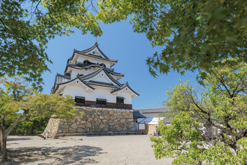 Naklejka premium 夏の彦根城天守閣 滋賀県彦根市