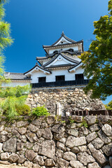 夏の彦根城天守閣　滋賀県彦根市