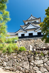 夏の彦根城天守閣　滋賀県彦根市