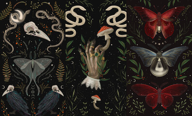Naklejka premium magical forest elements. images of a snake, night moth, fly agaric mushrooms, plant and space elements. Ideal for printing on fabric or clothing, wallpaper and wrapping paper