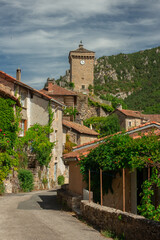 Fototapeta na wymiar The small village of Peyreleau in South of france