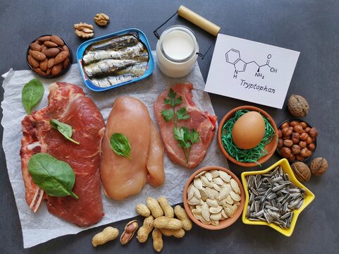 Tryptophan rich foods with structural chemical formula of essential amino acid tryptophan. Natural food sources of tryptophan include high protein foods like eggs, dairy products, meat, nuts, seeds.