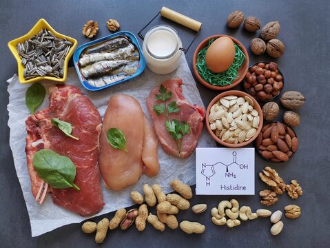 Histidine rich food with structural chemical formula of essential amino acid histidine. Natural food sources of histidine include high protein foods like eggs, dairy products, meat, nuts, seeds.