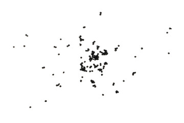 Black Caviar Isolated, Sturgeon, Beluga Caviare, Luxury Seafood, Expensive Delicatessen on White Background