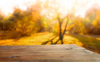 Naklejka na ściany i meble Wooden table and blurred autumn forest background