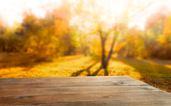 Wooden table and blurred autumn forest background