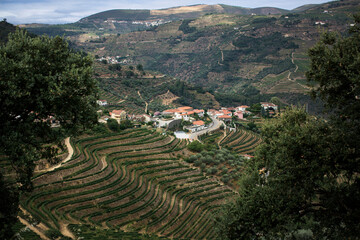 A view of a small village among the vineyards of the Douro Valley in Portugal.