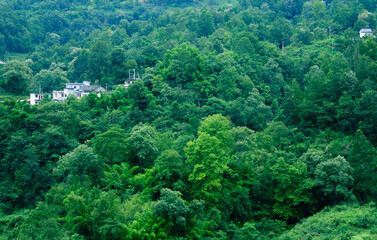 A village hidden in the mountains