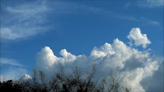 Time Lapse Footage of Fluffy Clouds Flowing on Sunlight Sky over Dry Tree Branches