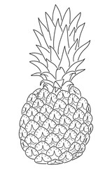 Vector illustration of pineapple with black outline