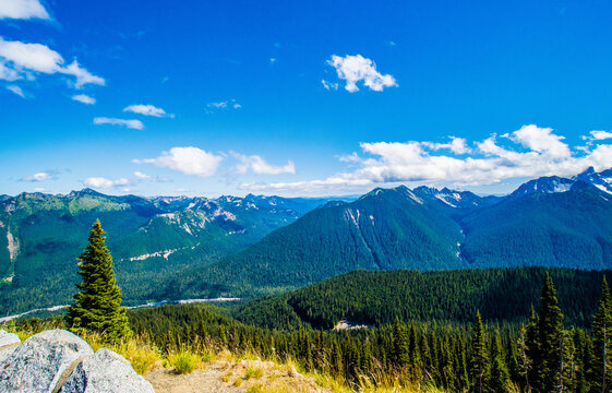 Mt Rainier park