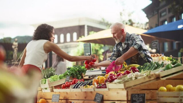 Young Beautiful Customer Shopping for Fresh Natural Vegetables for a Mediterranean Dinner. Black Female Buying Bio Tomatoes and Ecological Local Garlic From a Happy Senior Street Vendor