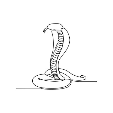 One continuous line drawing of ccobra vector illustration. Unravel the secrets of their unique hooded neck, used for display and intimidation. Animal design suitable for your asset.
