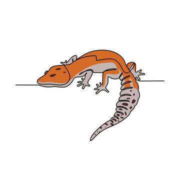 One continuous line drawing of Gecko vector illustration. Unravel the secrets of their sticky toes, equipped with tiny hairs called setae that allow them to climb walls and even hang upside down.