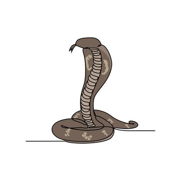 One continuous line drawing of ccobra vector illustration. Unravel the secrets of their unique hooded neck, used for display and intimidation. Animal design suitable for your asset.
