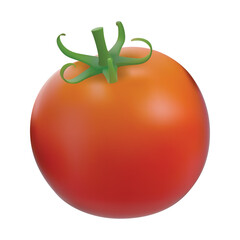 Tomato. fresh tomato, whole and sliced. Isolated on a white background. realistic tomato, Vector illustration