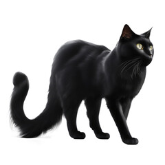 black cat isolated on transparent, Black cat png transparent background, black cat wallpaper